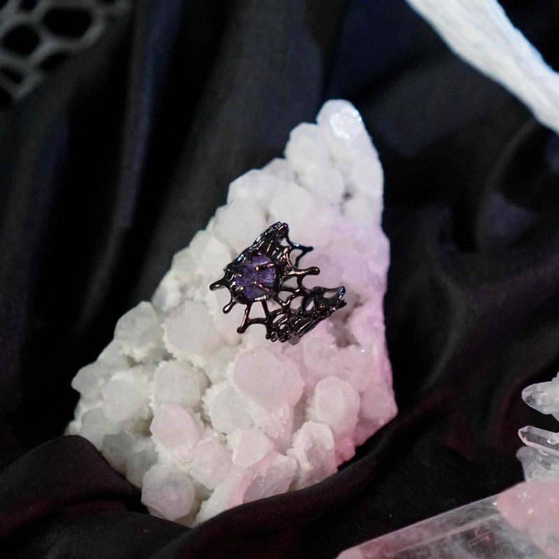Spider Web Ring