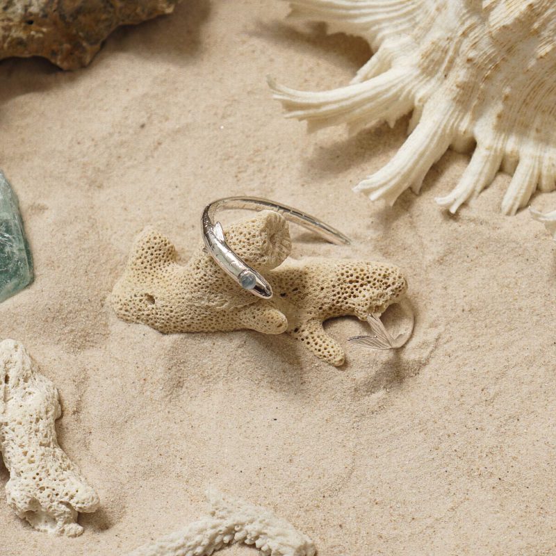School of Fish Bangle