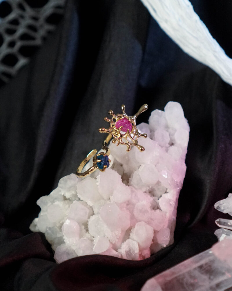 Double Spider Web Ring (1)