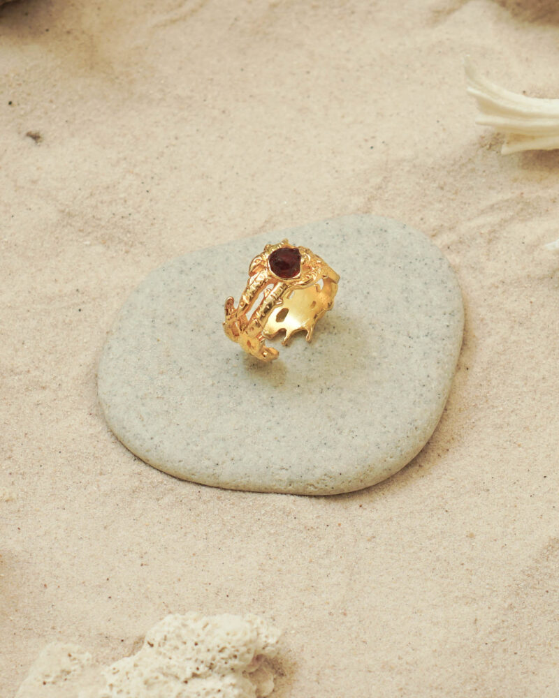 School of Fish Ring