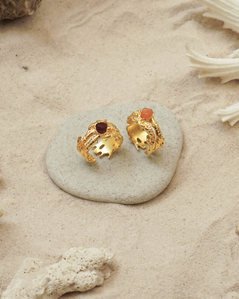 School of Fish Ring (1)