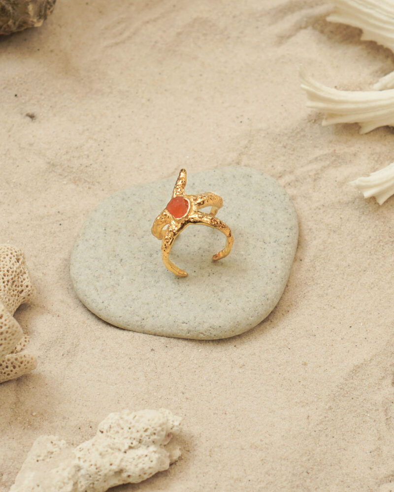 Sea Star Ring (1)