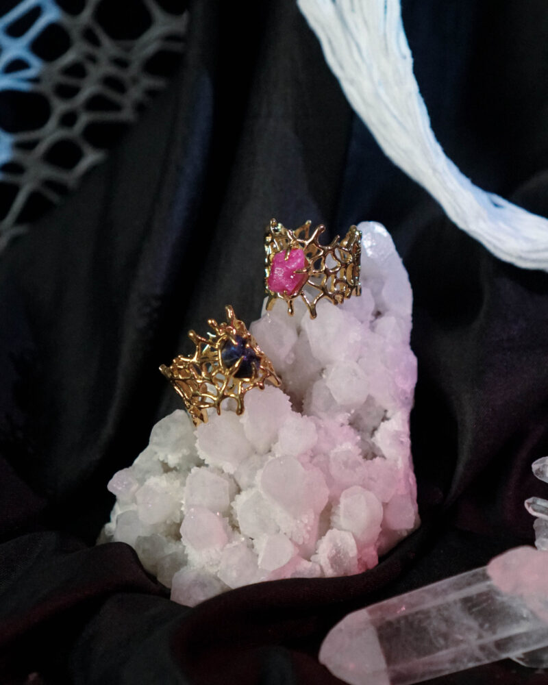 Spider Web Ring