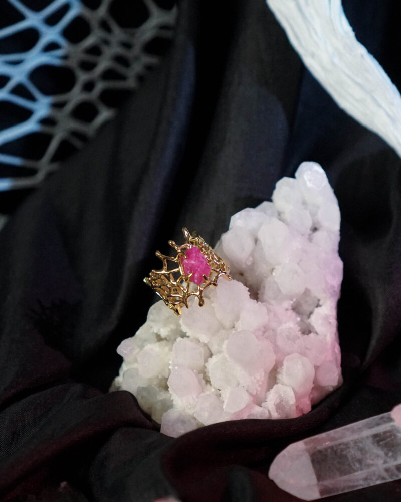 Spider Web Ring (1)