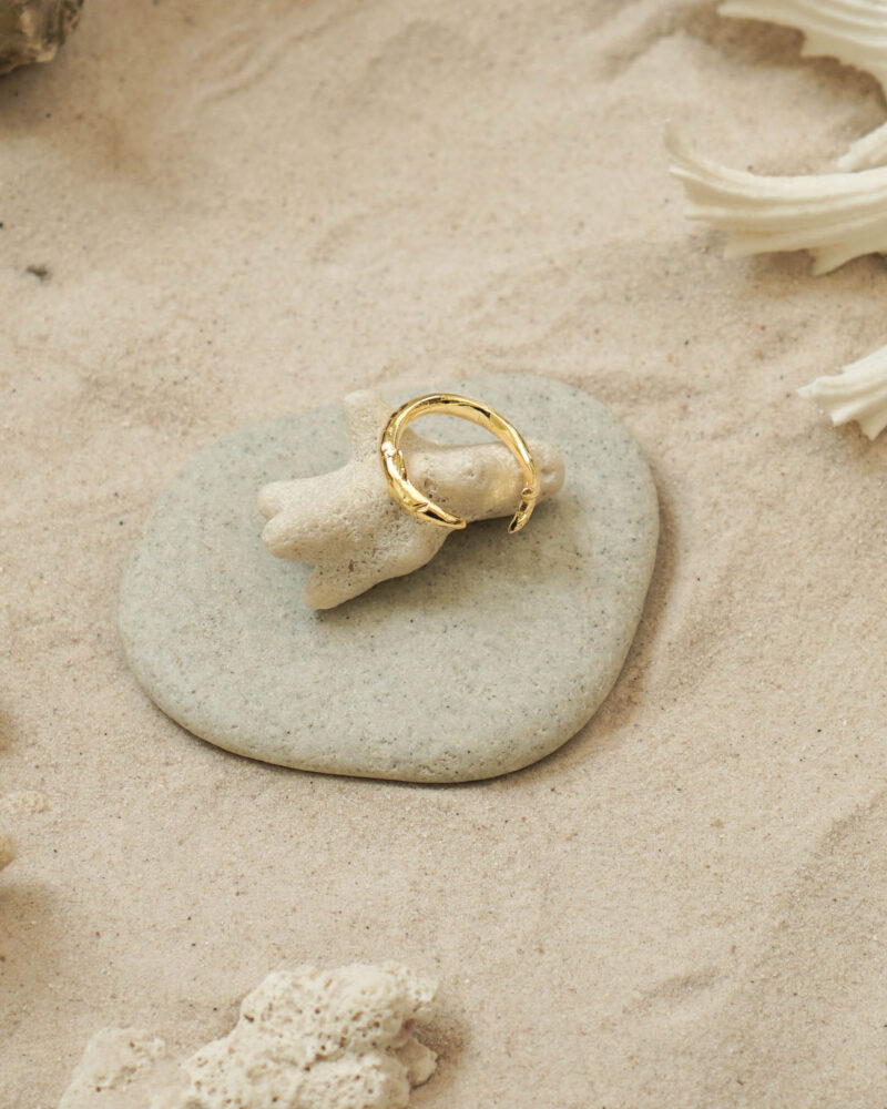 Twist School of Fish Ring (1)