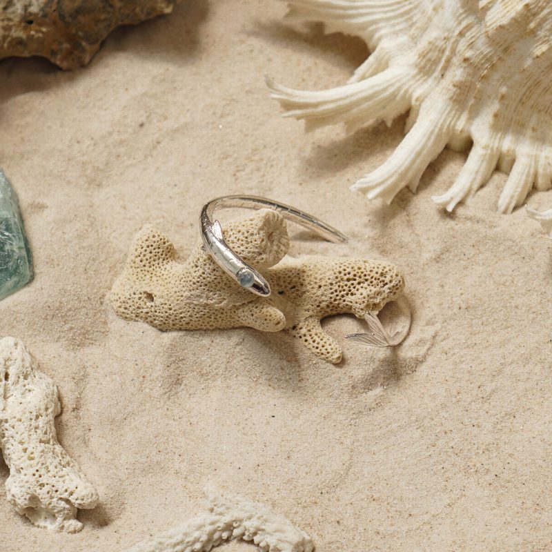 School of Fish Bangle