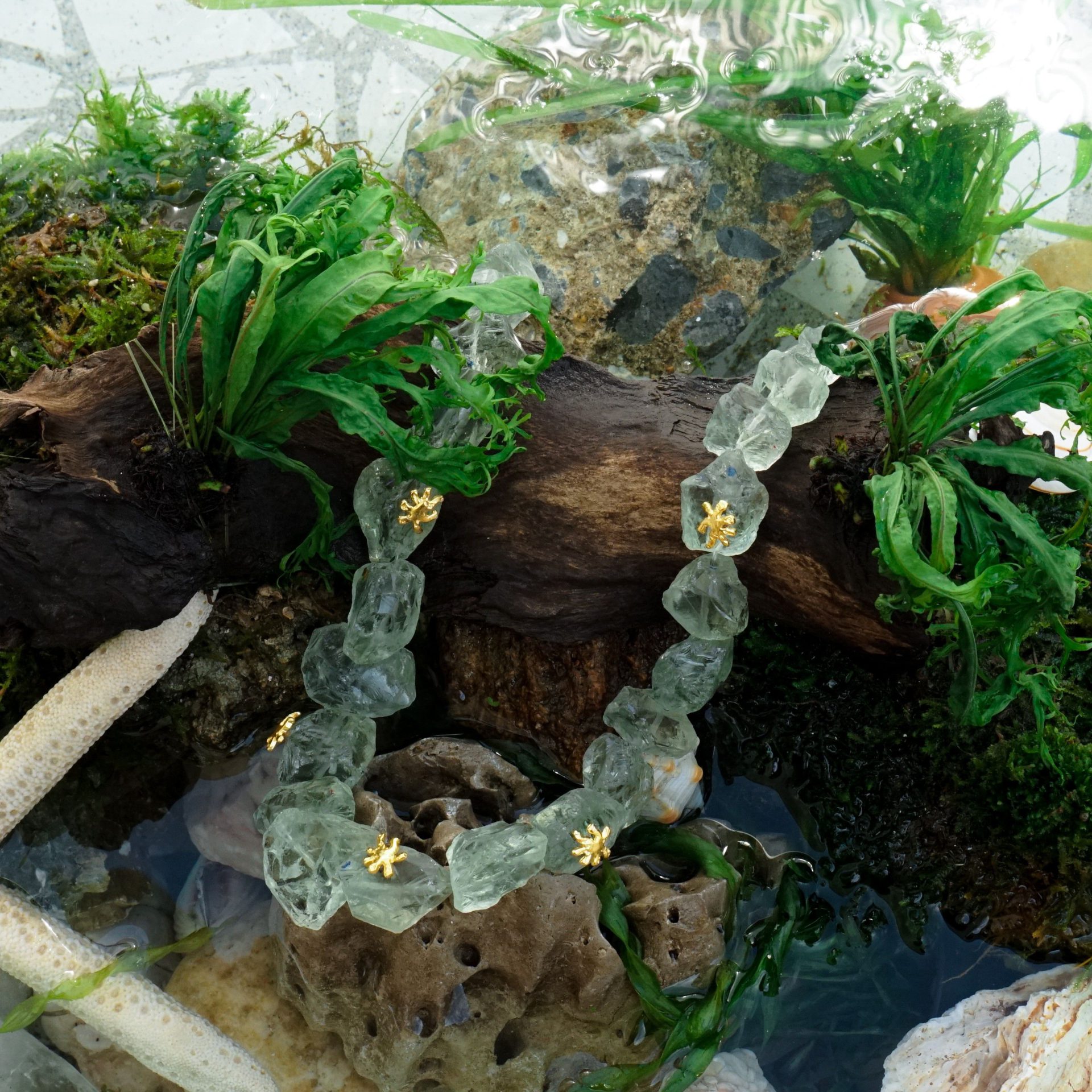 Algae Choker
