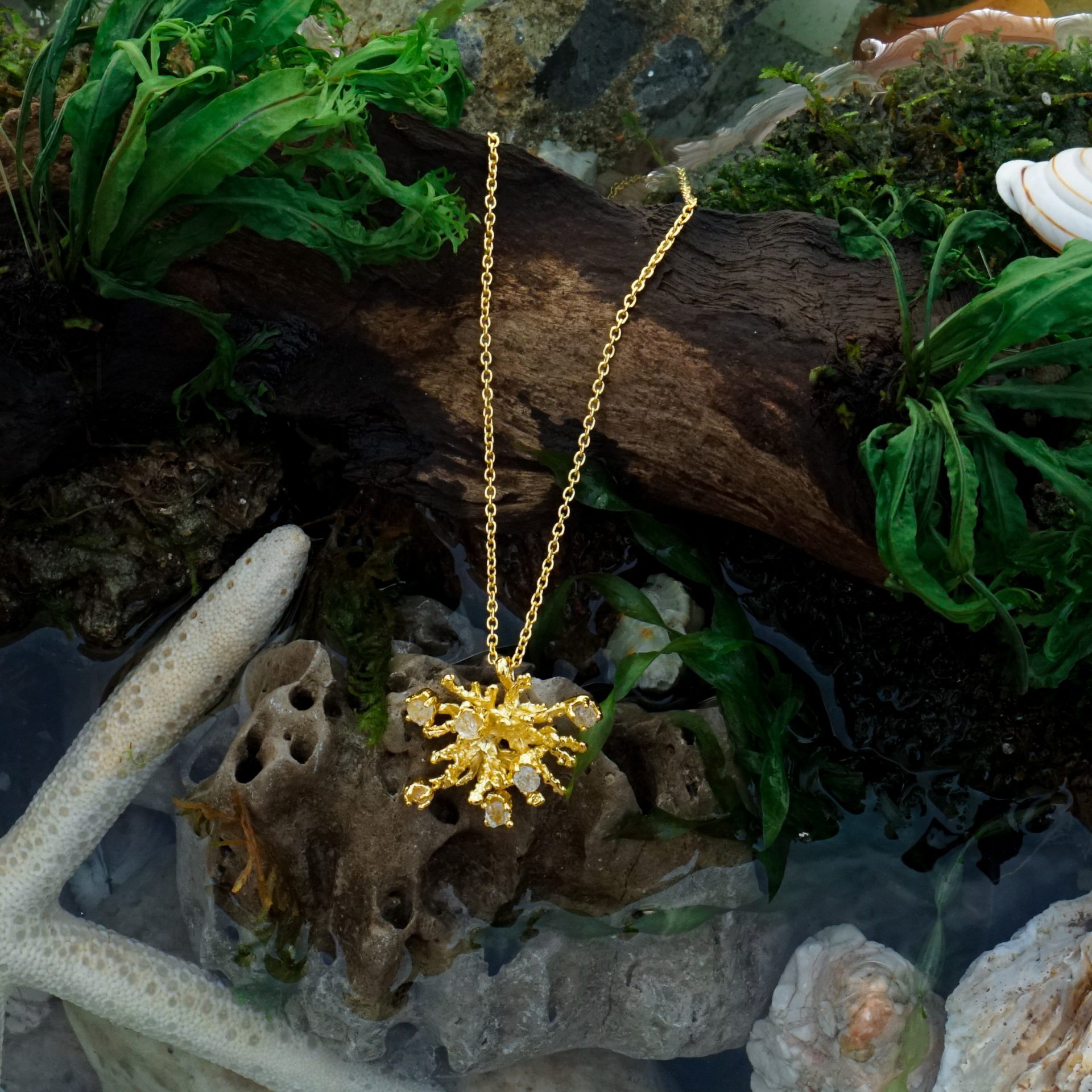 Algae Multi Pendant