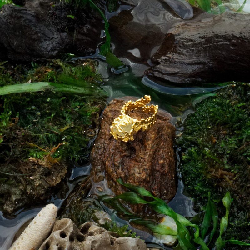 Algae Ring