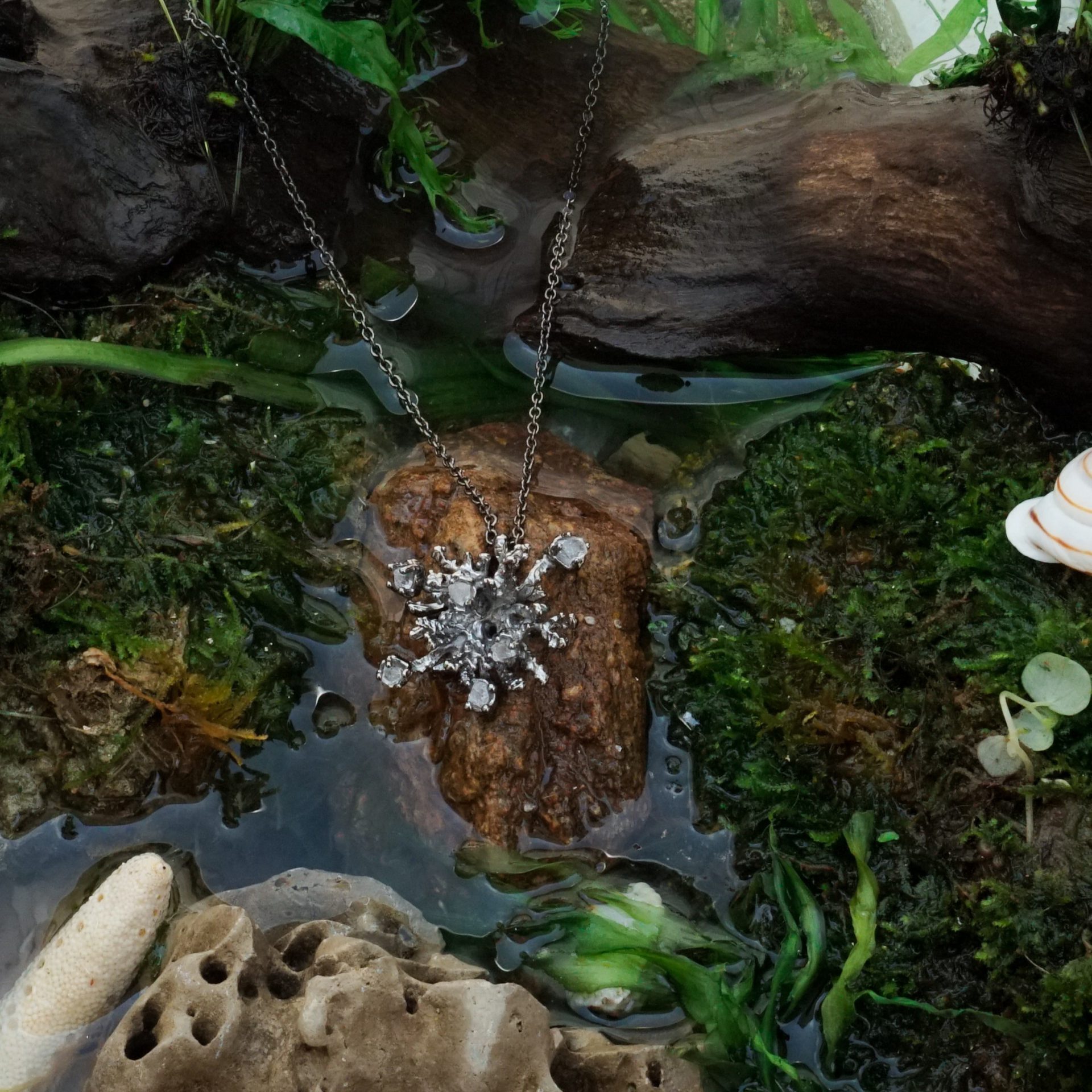 Algae Multi Pendant - Image 4